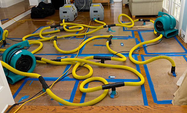 Professional Crawl Space Water Removal technician working in Danbury, NH
